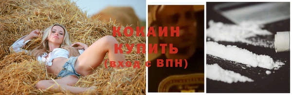 соль курить ск Ладушкин