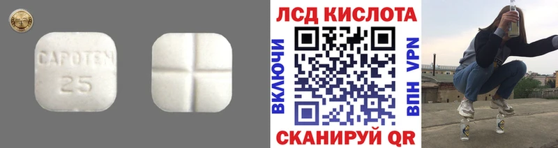 блэк спрут как зайти  Олёкминск  LSD-25 экстази кислота 